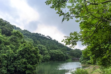 _DSC0109