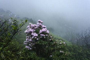 _DSC0452