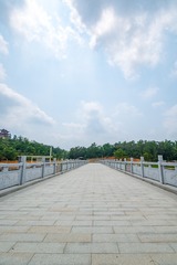 20190406_1228_ZLH1284_0306
