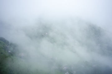 _DSC0486_1