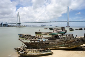 _DSC0490-01
