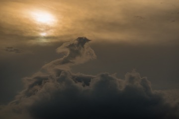 20190607_180946_ZLH7186