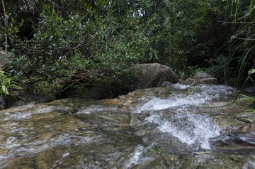 _DSC0247