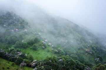 _DSC0514_1