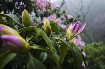 _DSC0426