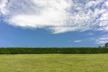 _DSC0717