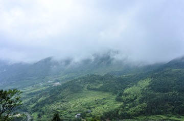 _DSC0595