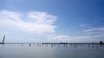 _DSC0195