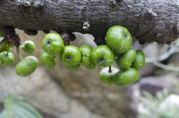 _DSC0154