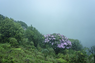_DSC0314