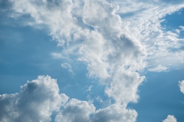 20190607_174908_ZLH7142