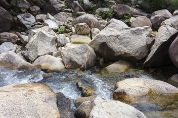 _DSC0123