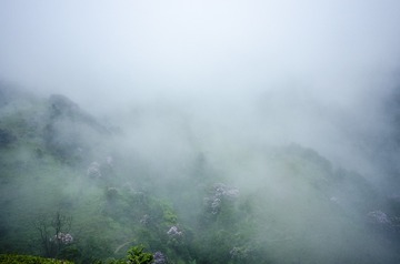 _DSC0487_1