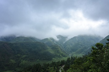 _DSC0596