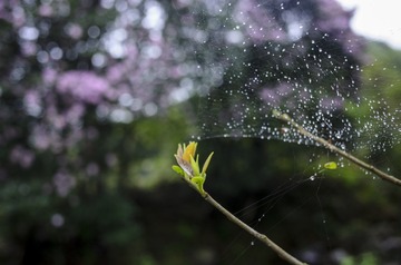 _DSC0166