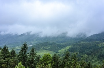 _DSC0593