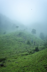 _DSC0325