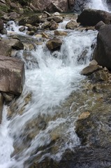 _DSC0690