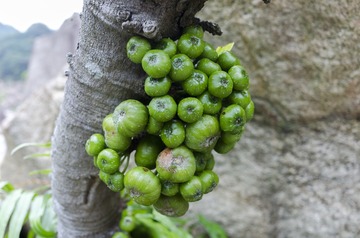 _DSC0156