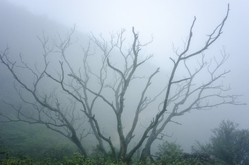 _DSC0541