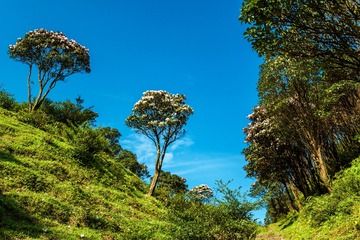 20190427_162553_ZLH2948