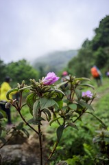_DSC0127