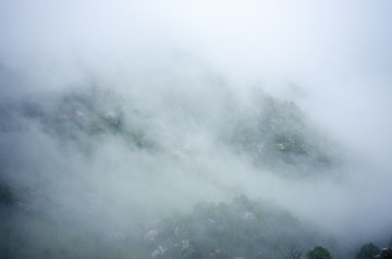 _DSC0485_1