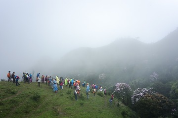 _DSC0428