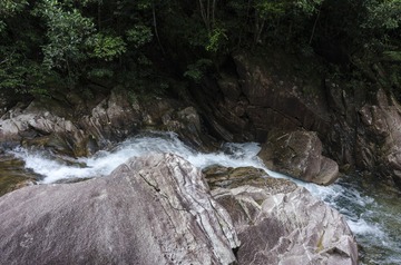 _DSC0298