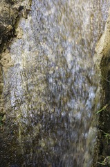 _DSC0132