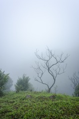 _DSC0411