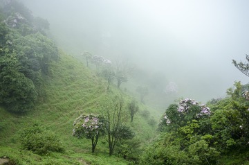 _DSC0366