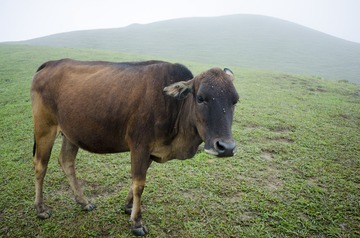 _DSC0549