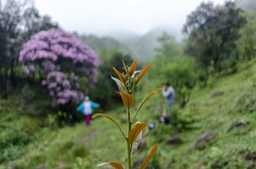 _DSC0191