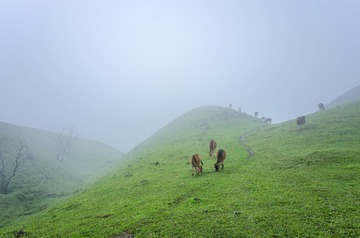 _DSC0553