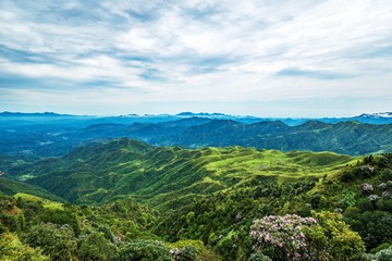 20190427_141148_ZLH2660