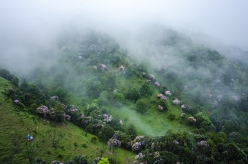 _DSC0509_1