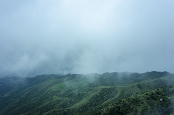 _DSC0310
