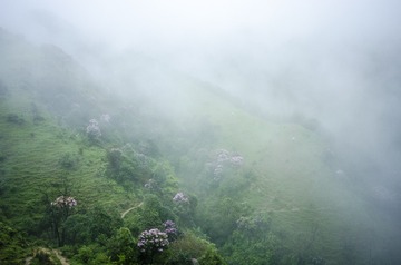 _DSC0489_1