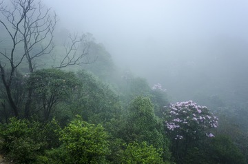 _DSC0459