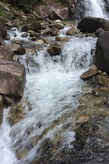 _DSC0697