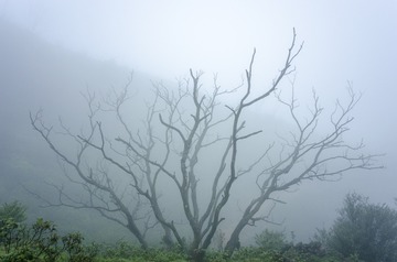 _DSC0542