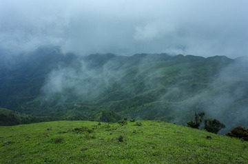 _DSC0305