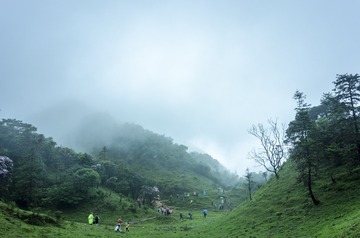 _DSC0319