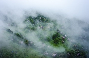 _DSC0499_1