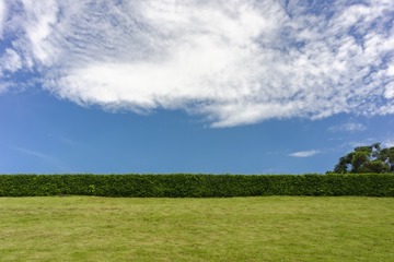 _DSC0716