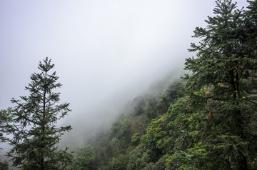 _DSC0155