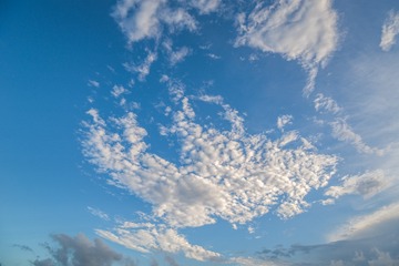 20190607_182146_ZLH7214