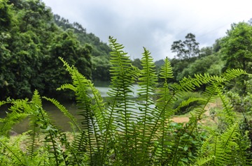 _DSC0100