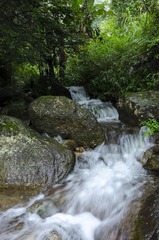 _DSC0136